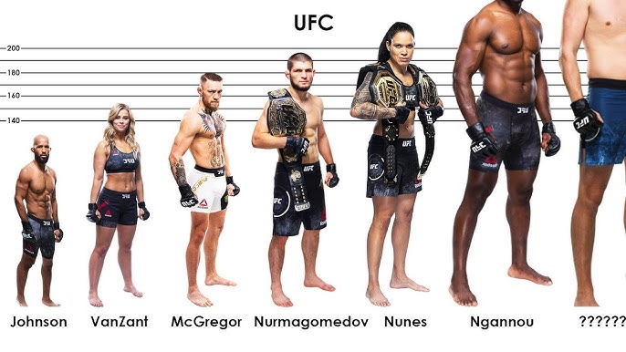 The Tallest Bantamweight Fighters in UFC History: Height Comparison