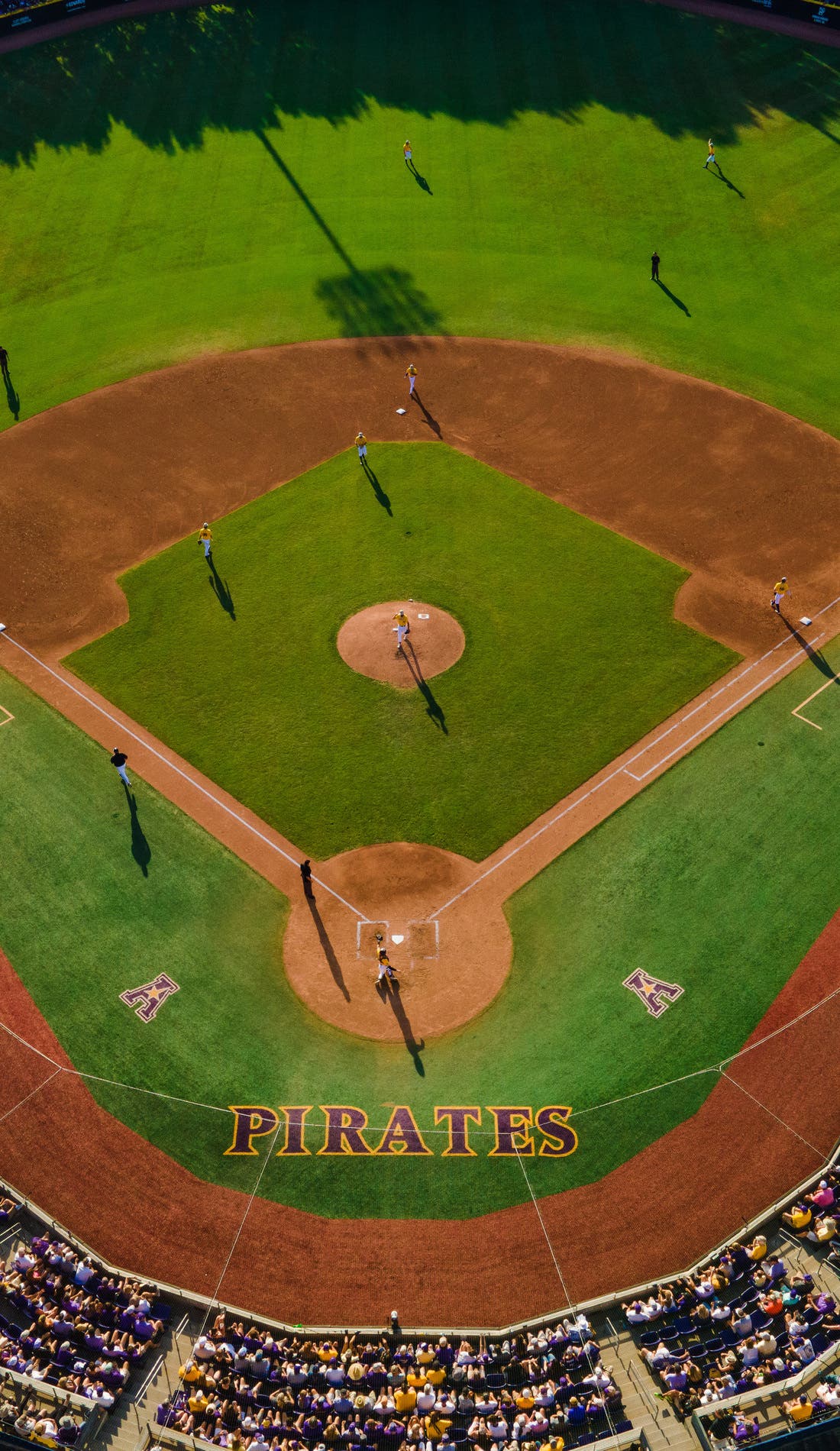 Find and Purchase Greenville Regional NCAA Baseball Tickets – 2024 Event Schedule