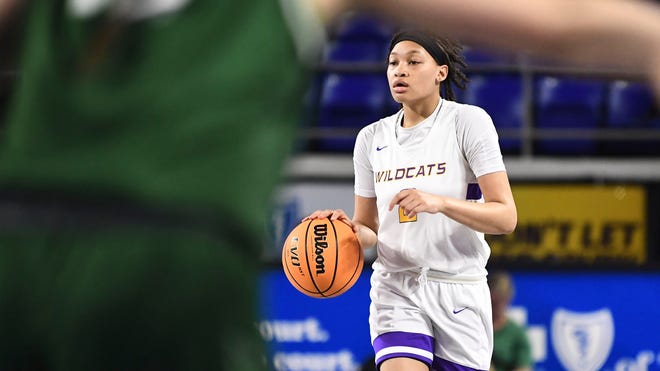 Clemson Womens Basketball Recruiting News: 5-Star Imari Berry Joins the Tigers