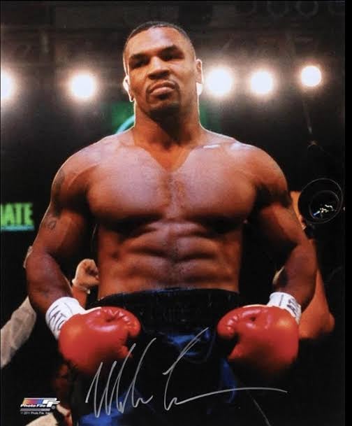 The Big Question: Who Has Best Boxing Record? Lets Find the Answer