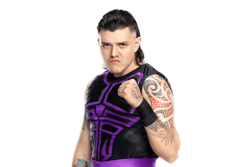 Everything You Need to Know About Dominik Mysterio in SmackDown Hotel