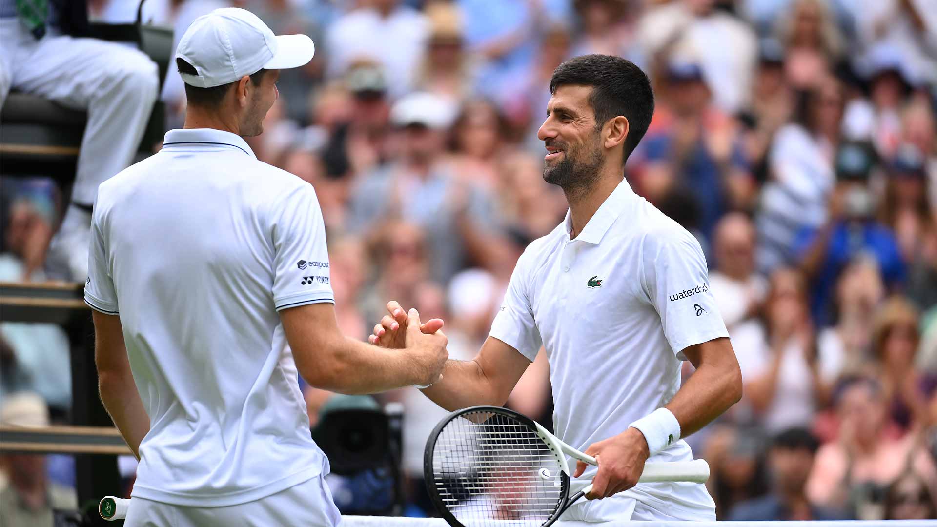 Novak Djokovic Faces Hubert Hurkacz in Crucial 2023 ATP Finals Match