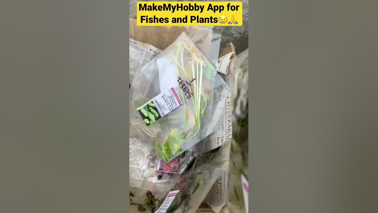 makemyhobby com कैसे काम करता है (3 आसान चरणों में अपना शौक शुरू करें)