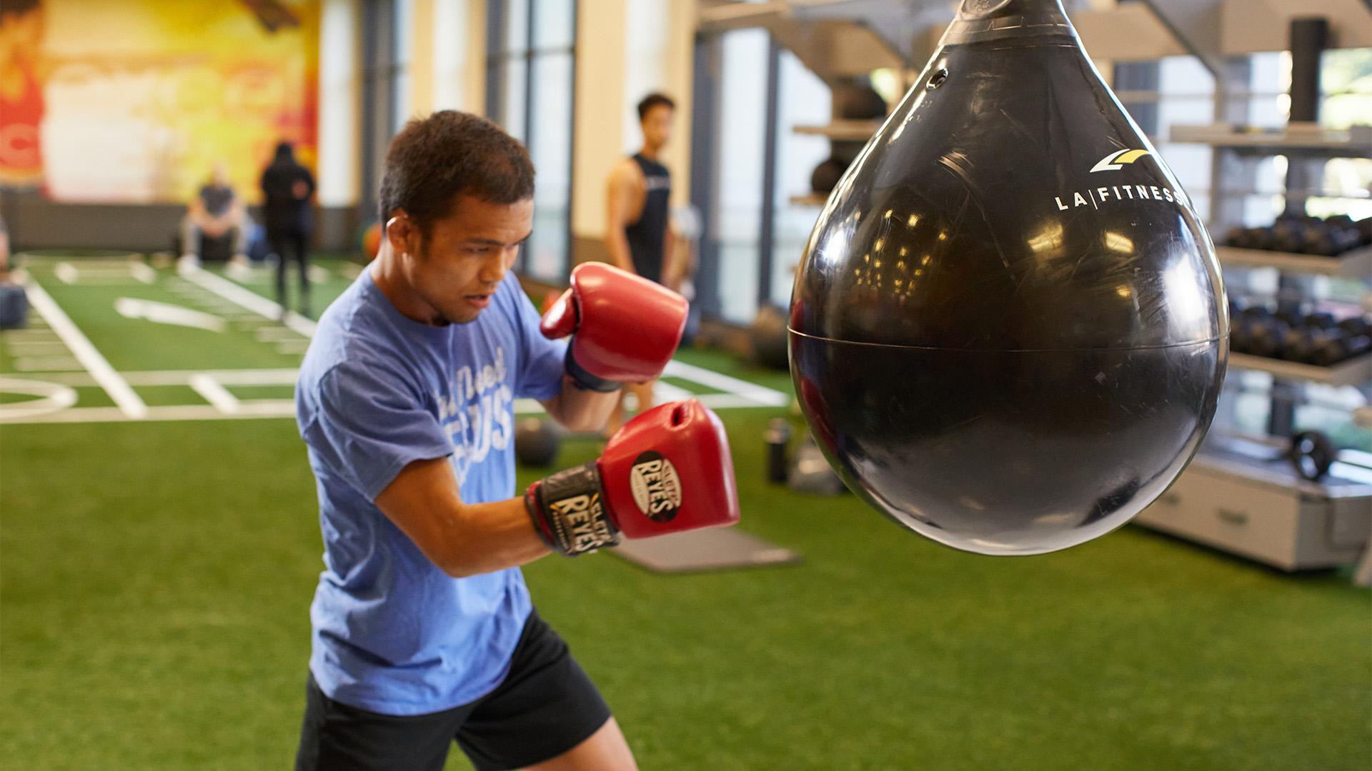 Does LA Fitness Have Boxing Bags? Find Out Here!