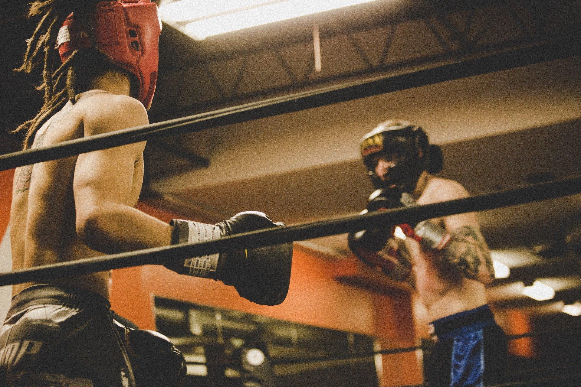 Thinking of a Boxing Career How Much Do Boxing Coaches Make