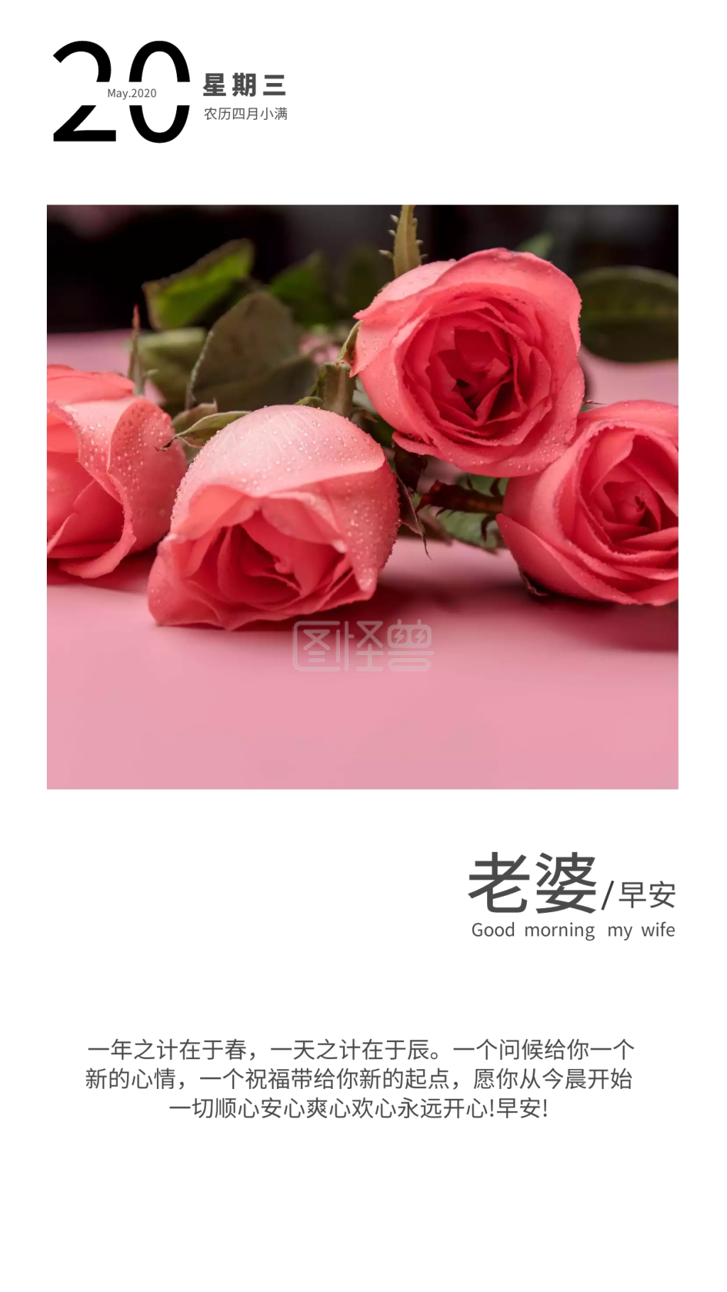 good morning pics for wife (送给老婆的早安图片在哪里找?)