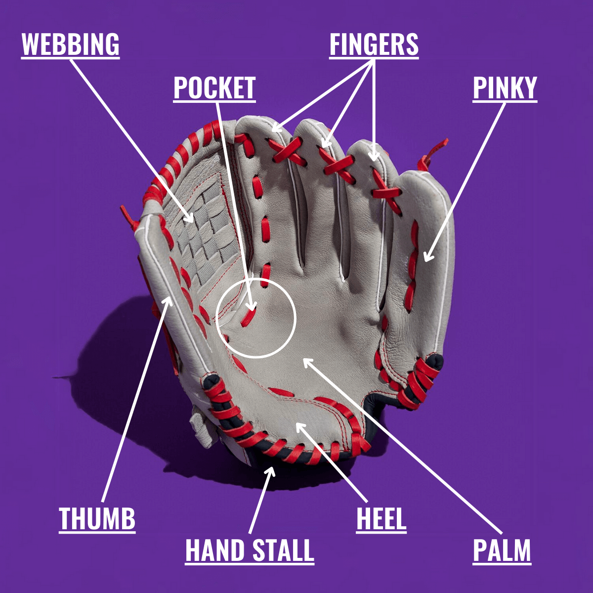 Discover How Much a Baseball Glove Weighs: Tips and Insights