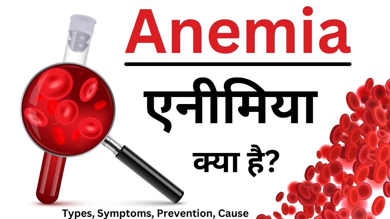 एनएलई चॉप्पा की ऊंचाई के बारे में जानें (ये जानकारी आपको हैरान कर देगी)