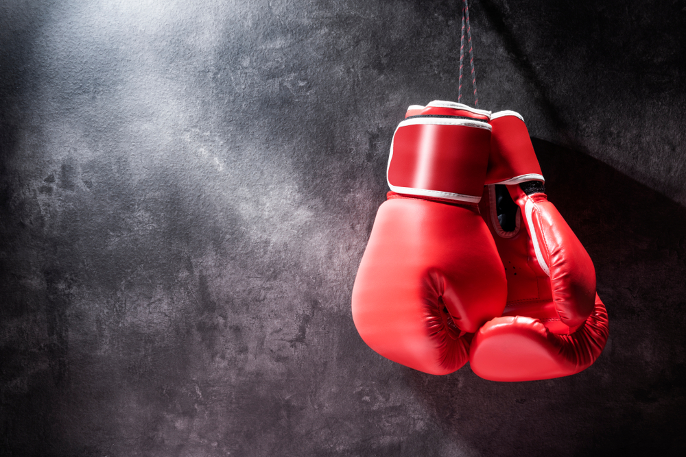 Unveiling the Weight Mystery How Heavy Are Professional Boxing Gloves