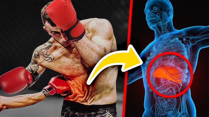 Liver Shots in Boxing The Ultimate Guide to Legal Punches
