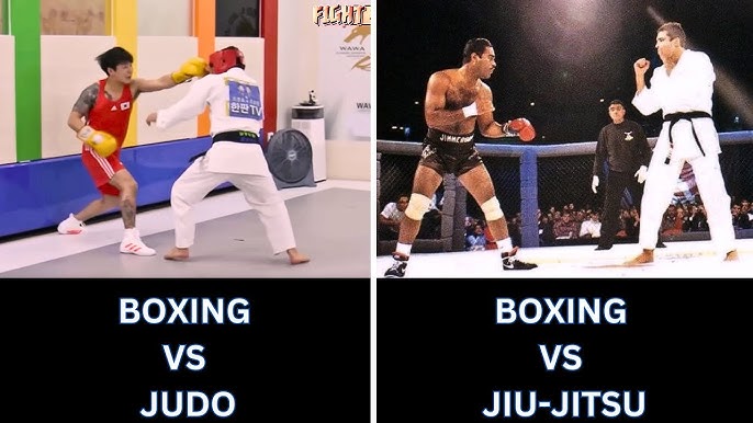 Comparing Combat Sports: Is Judo Actually Better Than Boxing?