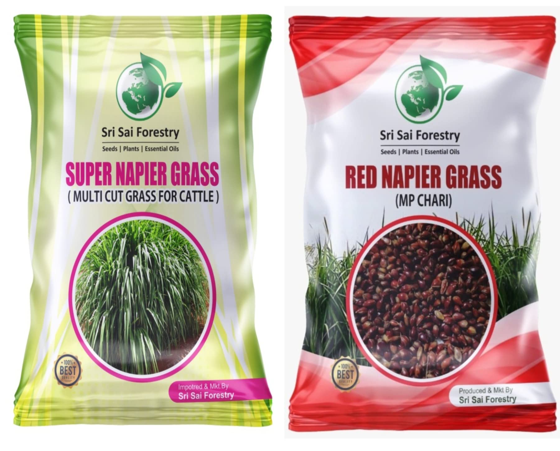 Super Napier घास कहां से खरीदें (विश्वसनीय विक्रेताओं की सूची)