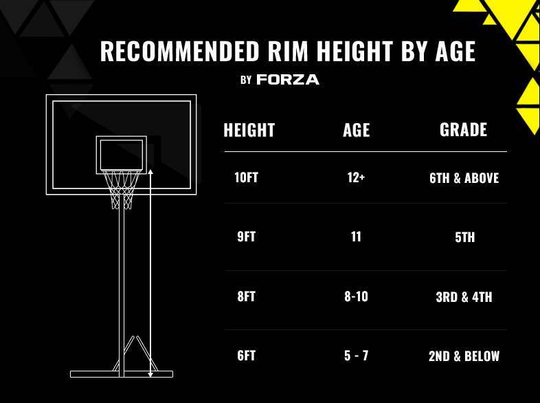 How High Is an NBA Hoop? Get the Real Scoop Here!