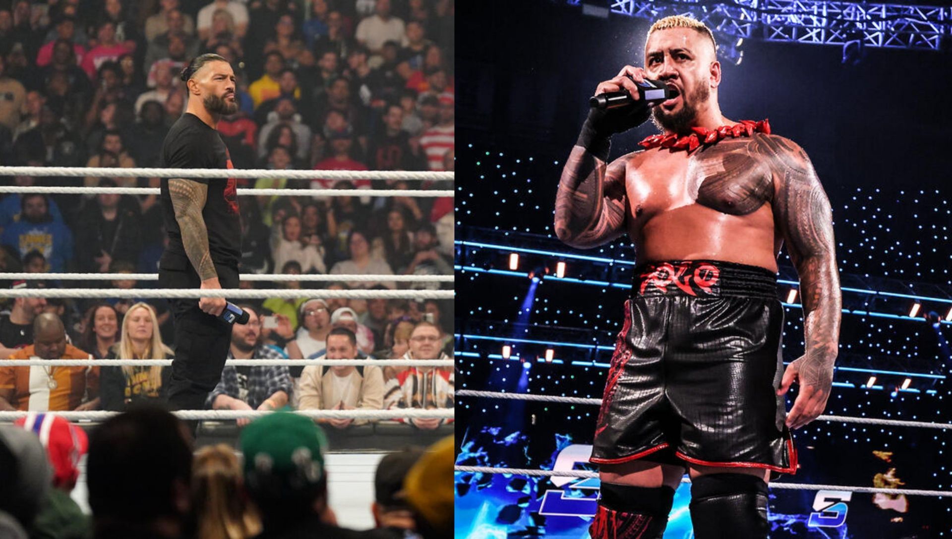 WWE मैचों पर दांव कहां लगाएं? शुरुआती लोगों के लिए आसान गाइड!